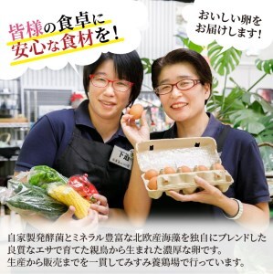 旬のお野菜と産みたて卵6個の大満足セット【A8-039】