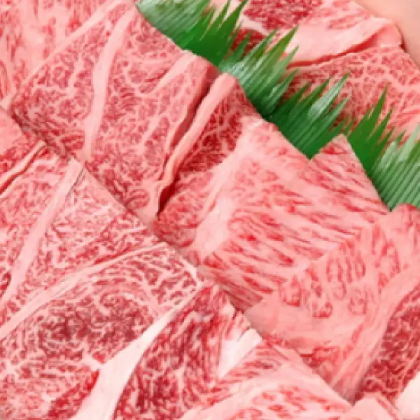【定期便6ヶ月】定期便 石見和牛でちょっと贅沢！ロース定期便・松 定期便6回 焼肉用定期便 すき焼き用定期便