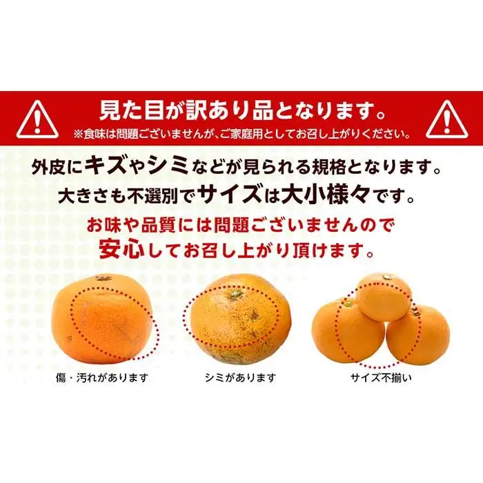 和歌山産 ［極早生］みかん 10kg ［ご自宅用・サイズ不揃い・キズ等あり］［ヤマタ大谷商店］