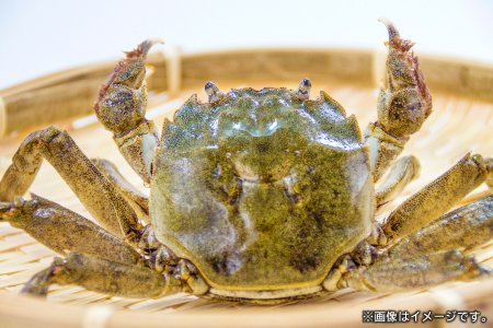 【先行予約】一級河川・江の川の恵み 島根県産 もくずがに 約1.2kg