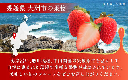 いちご【冷凍】紅ほっぺ 800g×2パック[AGBN041] いちご 苺