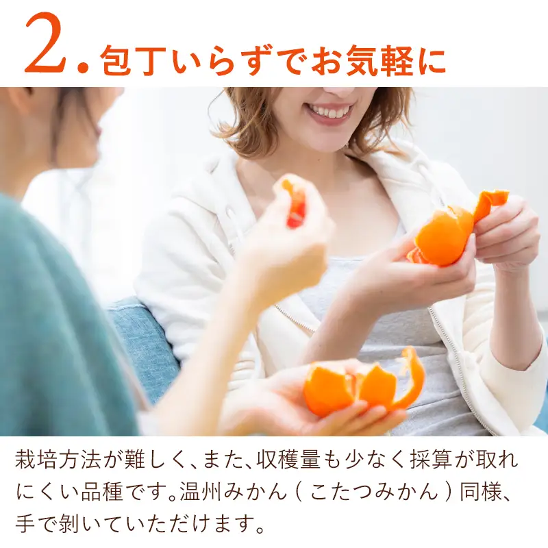 『先行予約』【令和9年2月中旬発送】マーコット(ハウス栽培) 唐津産 3kg