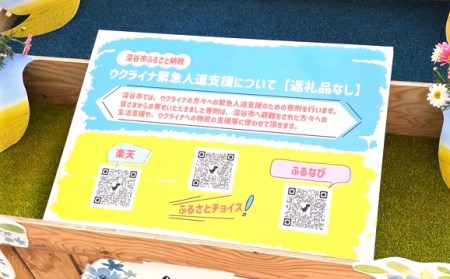 【返礼品なし】ウクライナ緊急人道支援（１口2,000円より） 