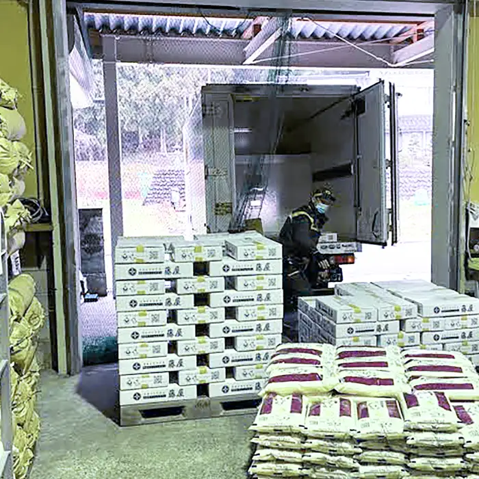 【定期便3ヶ月】美郷町産 きぬむすめ 10kg【定期便 3回定期 米 お米 精米 白米 ブランド米 きぬむすめ 5kg×2袋 10kg×3回 合計30kg 】