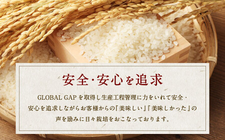 【新米受付・令和8年産米】 新潟県村上市岩船産　新之助　精米2kg×3個セット NA4152