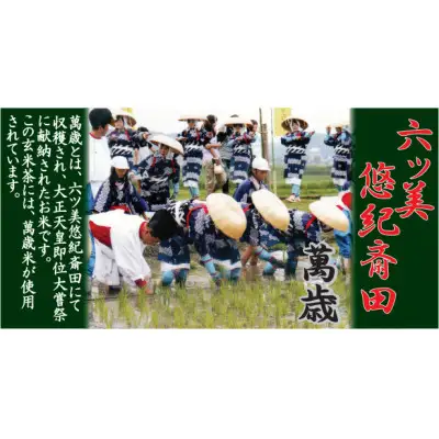 茶 お茶 抹茶入り 玄米茶 悠紀斎田米「萬斎」使用 200g 3袋