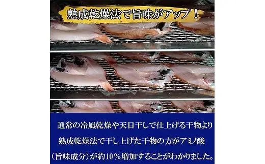 【定期便3回】海の幸干物セットＢを3回お届けします！