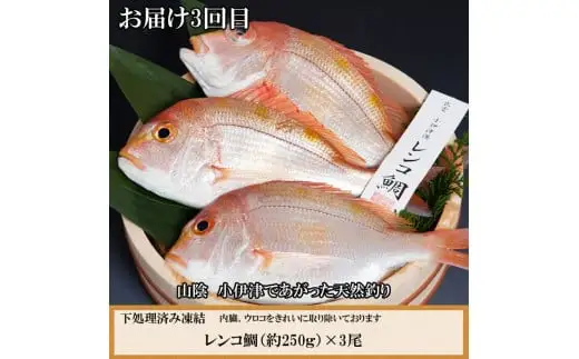 【定期便3回】風味豊かな出雲のお魚詰合せをお届けします！
