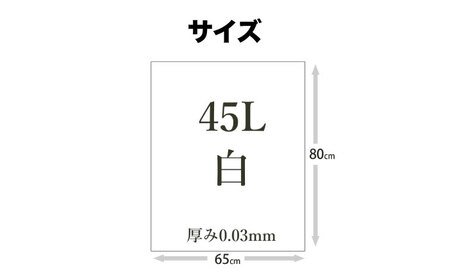 消臭ゴミ袋 白×45L（1冊10枚入）60冊/1ケース [AGBR003]