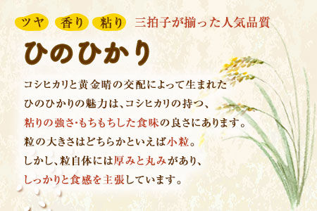 令和8年産 鋤先家 の ひのひかり 6kg (2kg×３袋) 熊本県氷川町産 鋤先梨農園《30日以内に出荷予定(土日祝除く)》 st-p