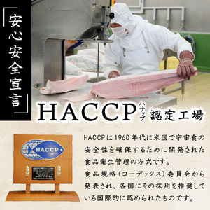 天然みなみまぐろ 背ブロック 500g (a10-765)