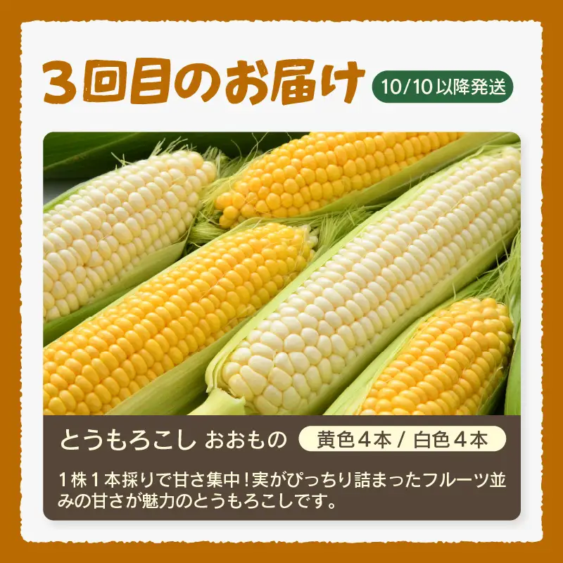 【先行予約】≪定期便/全3回≫フルーツ王国あわらのこだわり5品 農家直送 厳選品／ 期間限定 果物 フルーツ 青肉メロン 赤肉メロン 西瓜 とうもろこし 産地直送 ※2027年6月中旬より順次発送 [aw039-c002]