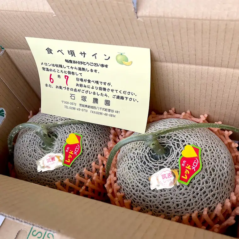 メロン 筑波レッドメロン 1箱 2玉 約3.5~5kg 八千代町産 先行予約