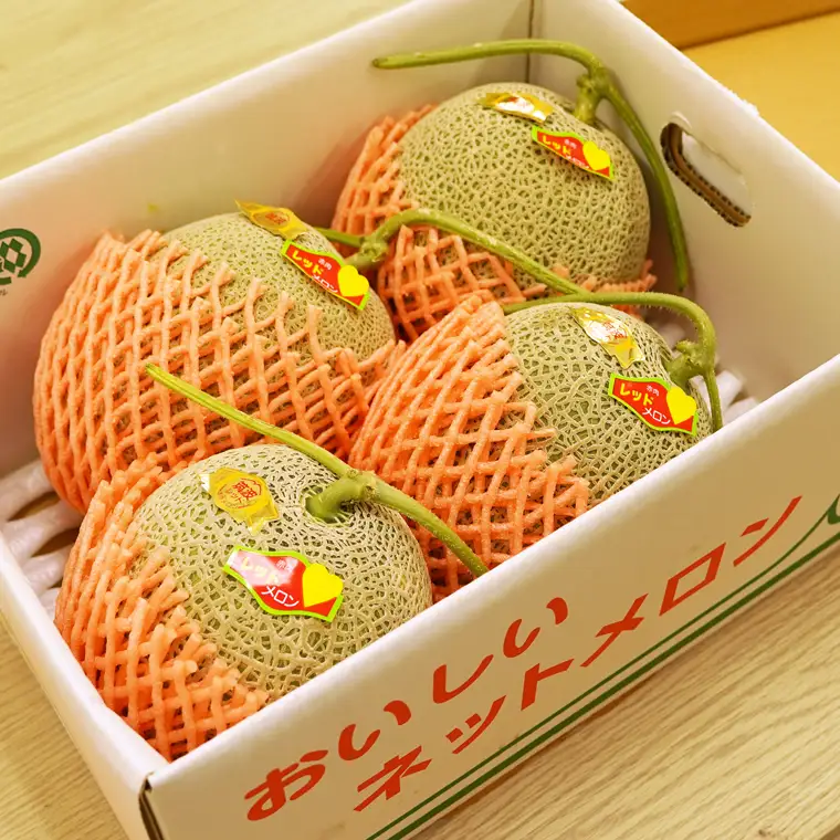メロン 筑波レッドメロン 1箱 3玉~4玉  約5~6kg 八千代町産 先行予約
