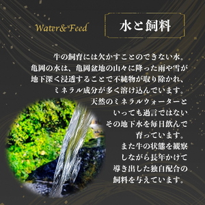 亀岡牛 サーロインステーキ1kg ステーキ