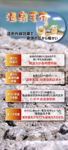 フューチャーニューマイヤー毛布 ダブル ベージュ KW11701 Wプレミアム温泉毛布 温泉に入っているような優しい暖かさ 遠赤外線効果で体の芯から暖かい [1840]