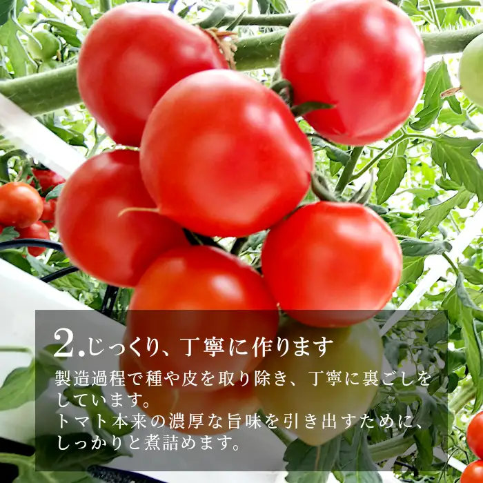 トマトの甘みをぎゅっと濃縮！保存料･食塩･化学調味料不使用 トマト農家さんのトマトピューレ 6個 ( 320g×6個 ) 野菜 トマト 無添加 料理