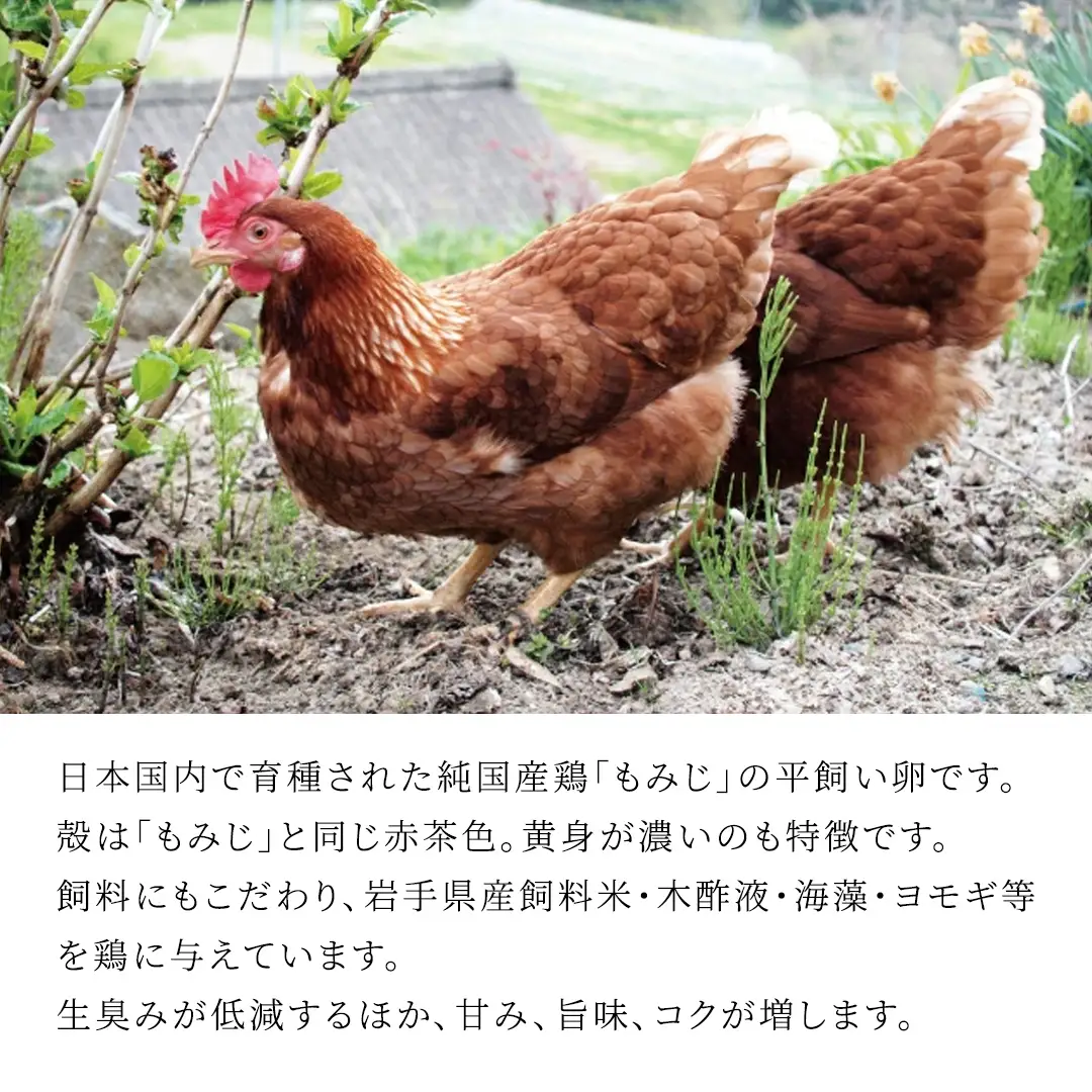 【卵 定期便3か月】純国産鶏「もみじ」平飼い卵 30個×３回  (AJ024) 