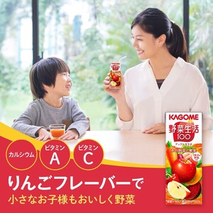 【 定期便6ヶ月連続お届け 】カゴメ 野菜生活100 アップルサラダ 200ml 24本 野菜ジュース 果実ミックスジュース 紙パック
