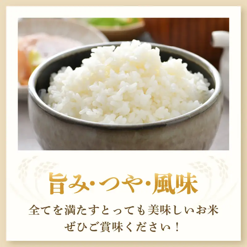 【先行予約】【令和8年産・新米】【一等米】いっちょらい 精米 10kg×1袋 ／ 福井県産 ブランド米 コシヒカリ ご飯 白米 お米 コメ 新鮮 大賞 受賞 新米 福井県あわら産 ※2026年9月下旬以降順次発送予定 [aw012-b029]