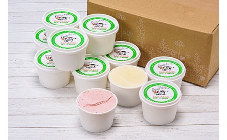 《2026年4月発送》北海道産 手作りアイスクリーム 120ml×12個セット (お好み詰め合わせ)  南幌町 国産 NP1-024