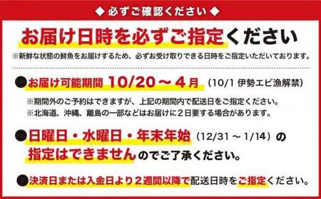 活伊勢エビ 約700gセット （２～３尾）《10月20日～4月期間限定出荷：先行予約も可（到着日時指定必須商品）》 HA-f-62