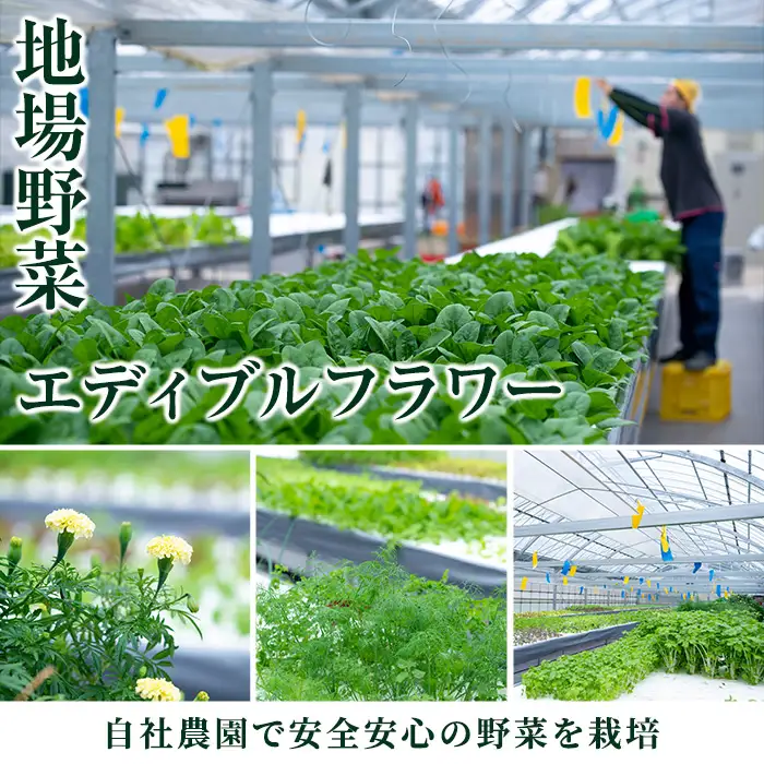 i595 ＜2名様・体験宿泊ペアチケット＞ひかりの郷体験宿泊券(1泊2食付・ツインルーム利用)体験 体験チケット 宿泊 ペアチケット スローライフ 温泉【ひかりの郷】