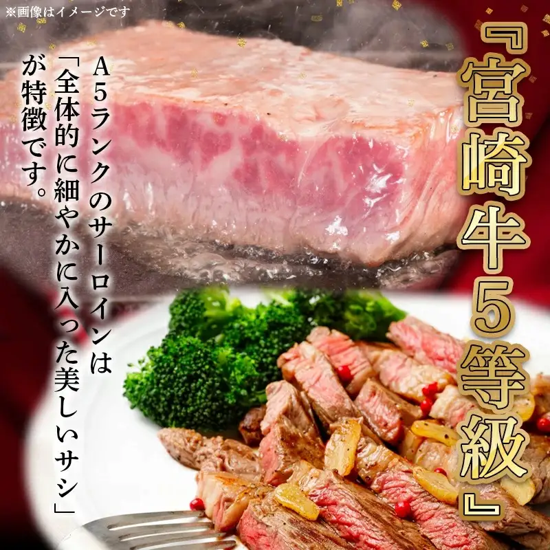 【A5】肉厚!宮崎牛サーロインハーフカットステーキ2枚〔AD-0112〕_(都城市) 最高級A5ランク 宮崎牛サーロインステーキ 200g×2枚 ステーキソース 塩コショウ付 ギフト 贈答用