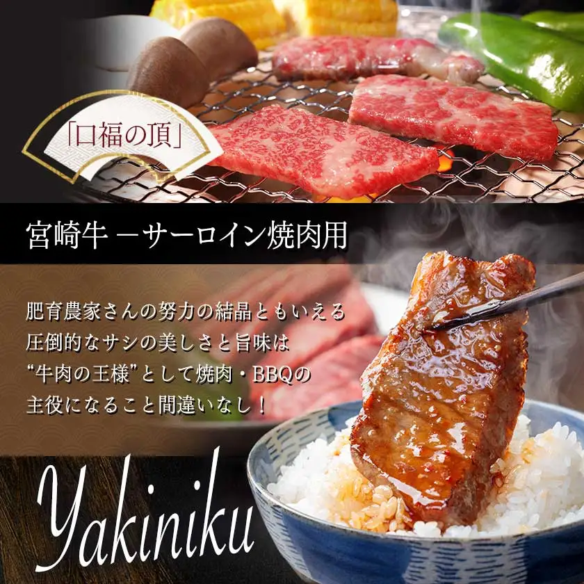 【A5】宮崎牛サーロイン焼肉用500g〔AE-0106〕_(都城市) 最高級A5ランク 宮崎牛サーロイン焼肉用 500g 最高等級5等級 ブランド牛 国産牛肉 国産黒毛和牛 バーベキュー 焼き肉 ガッツリ 夏のイベント