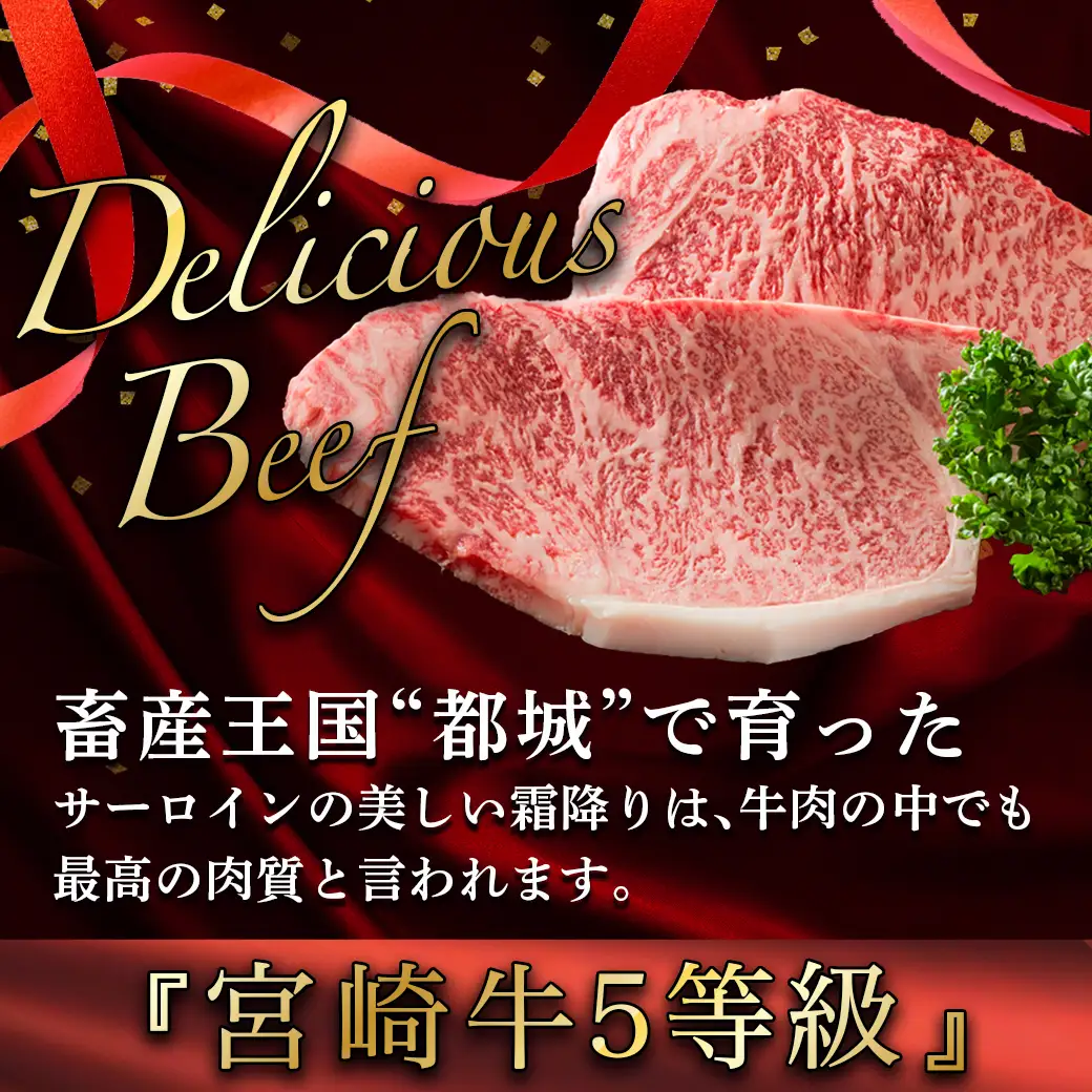 【A5】宮崎牛サーロインステーキ4枚〔MB-0135〕_(都城市) 最高級A5ランクの牛肉 宮崎牛サーロインステーキ 200g×2枚×2P  塩コショウ ステーキソース付 都城産宮崎牛 真空パック ギフト 贈答用