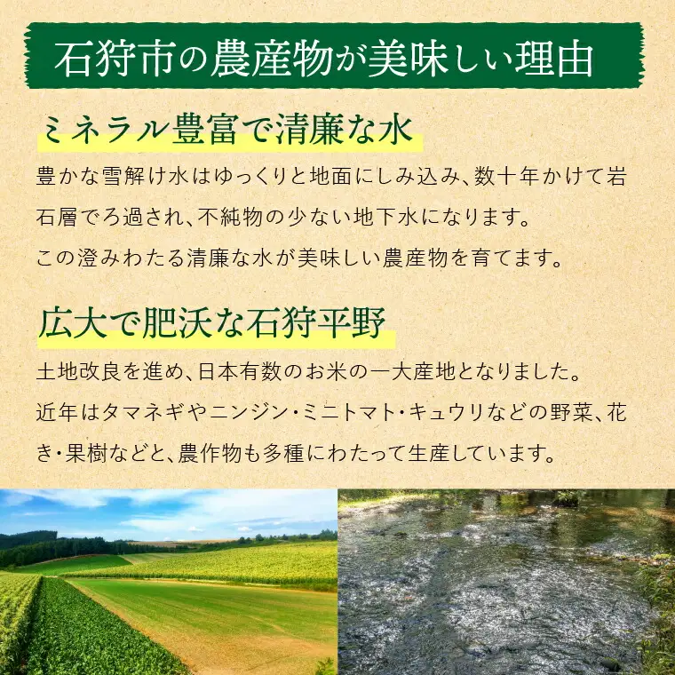 石狩産さつまいも（5kg）【10月発送】｜ ふるさと納税 北海道産 サツマイモ 野菜 北海道 石狩市