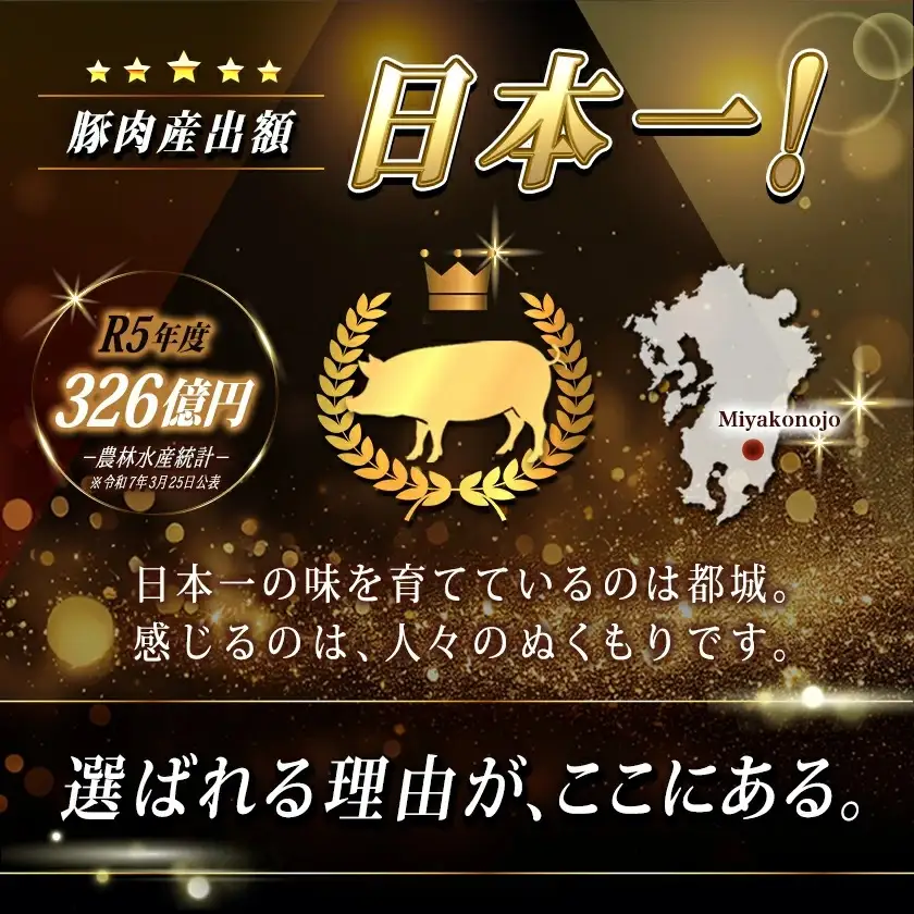 宮崎県産 豚肉切り落とし5.1kg(ジッパー付袋入り)〔18-15-009-5100g〕 豚肉 都城市 イチオシ!!