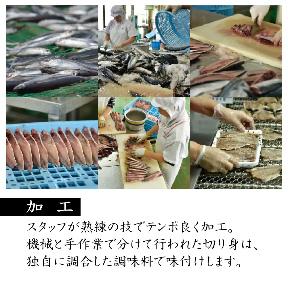 長崎産 ひもの ｢出島｣  津田 【 干物 】
