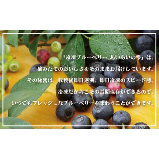 【先行予約】冷凍 ブルーベリー 1.2kg (2026年9月～発送) | フルーツ ベリー C152