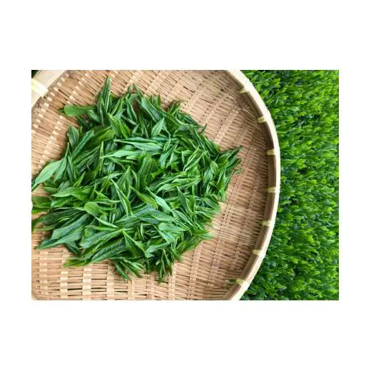 【農林水産大臣賞15回受賞の銘店】世知原茶 ｢芳翠｣｢峰の露｣ 詰め合わせ 500g (100g×5P)【前田製茶】蒸し製玉緑茶 茶葉 日本茶 緑茶