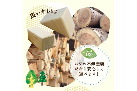 【山梨県産】手作りのスギ・ヒノキ積み木セット（10個入り）