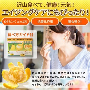 令和9年5月発送予定 訳あり 小夏5キロ （白浜農園の減農薬小夏）柑橘 みかん ミカン 果物 フルーツ 日向夏 おやつ デザート 美味しい ワケアリ ご自宅用【R01153】