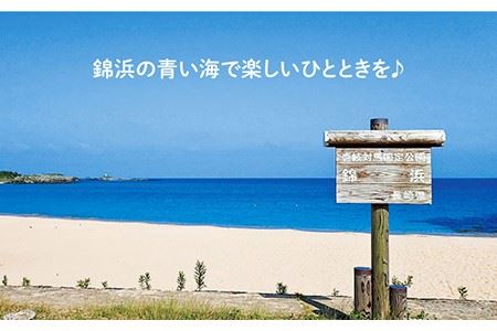 ダイビング  体験  錦浜 《壱岐市》【シーガルイン】[JAB002] 旅行 海 アウトドア ダイビング 33000 33000円
