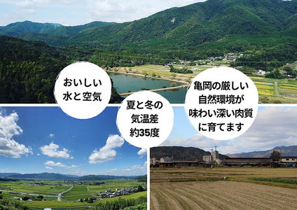 「亀岡牛」ヒレステーキ　3枚（300ｇ）☆祝！亀岡牛 2023年最優秀賞（農林水産大臣賞）受賞　≪京都 丹波 冷蔵便 牛肉 送料無料≫※北海道・沖縄・離島への配送不可