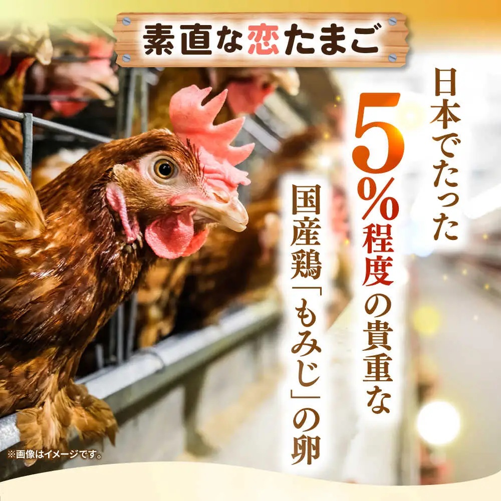 定期便（全12回）素直な恋たまご 60個 [JAP005] 定期便