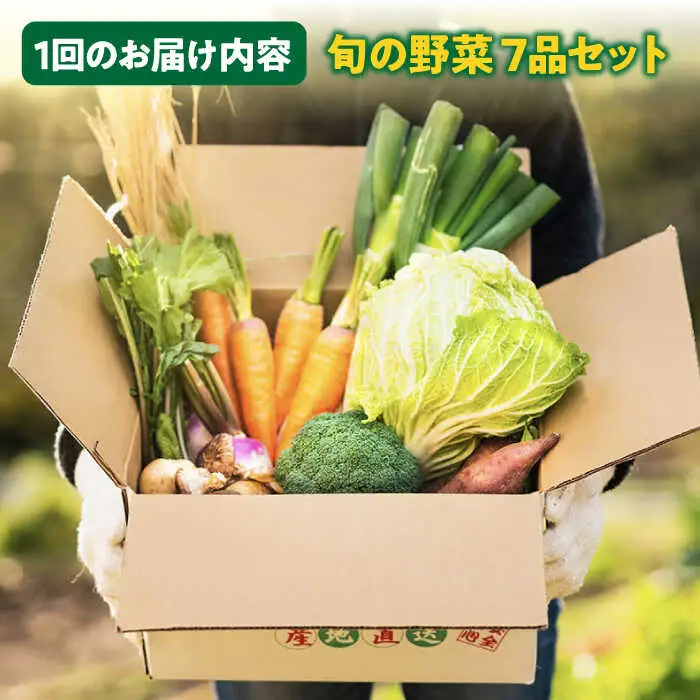 【全6回定期便】旬の野菜セット 7品 [JBO045] 野菜 やさい 旬 セット 詰め合わせ 60000 60000円