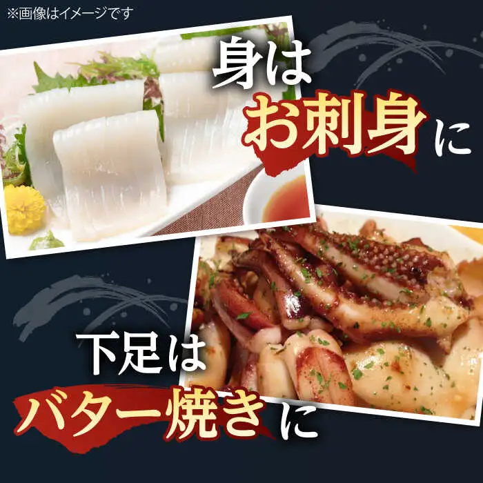 アオリイカ（処理済み） 700g前後 《壱岐市》[JCG018]