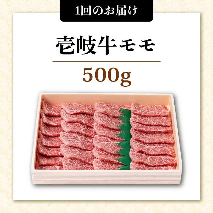 【全6回定期便】壱岐牛焼き肉セット 500g [JCG055]