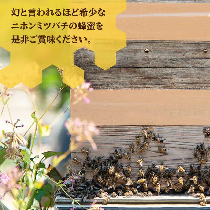  ニホンミツバチ 生蜂蜜 1,200×2（化粧箱付き） [JCL008]  ハチミツ 蜂蜜