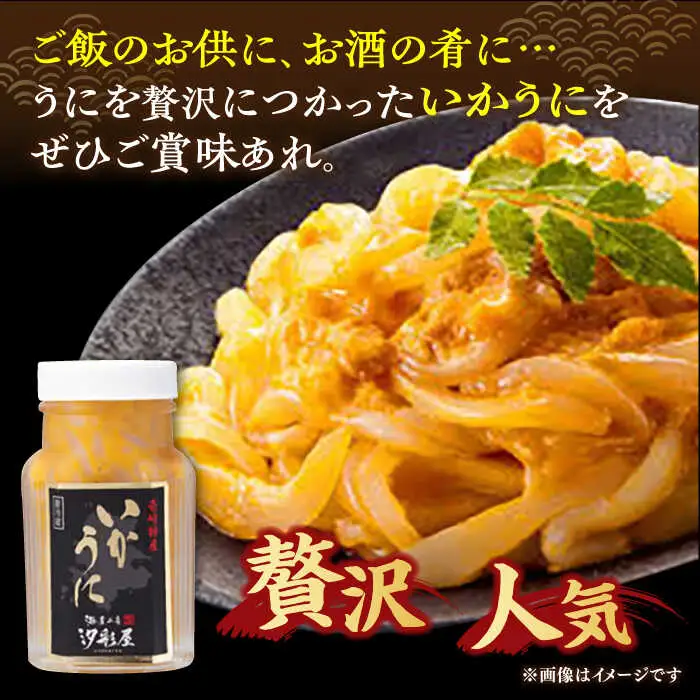 壱岐島 干物・海産物セット（いかうに付）【皐月】 《壱岐市》【汐彩屋】[JCT002] 15000 15000円 干物 ひもの 朝食 みりん干し アジ 鯵 アジの開き 開き 丸干し
