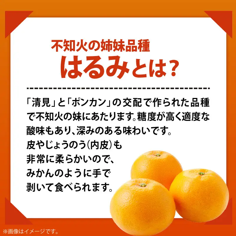 和歌山有田の濃厚 はるみ 5kg (Lサイズ)【ハルミ 春見 ミカン 蜜柑 柑橘 和歌山 有田】_AB6047n