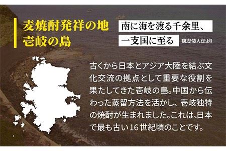 麦焼酎 お酒 IKINOSHIMA ULTIMATE 30度 720ml 16年古酒 かめ貯蔵熟成 [JDB085] のし ギフト
