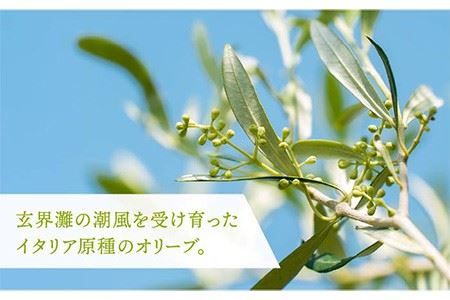 【数量限定】オリーブの新漬け（100g × 3袋） [JDU008] オリーブ