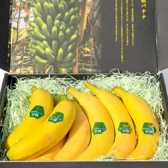 壱岐王様バナナ 1kg（5-7本程度） [JEL001] ばなな