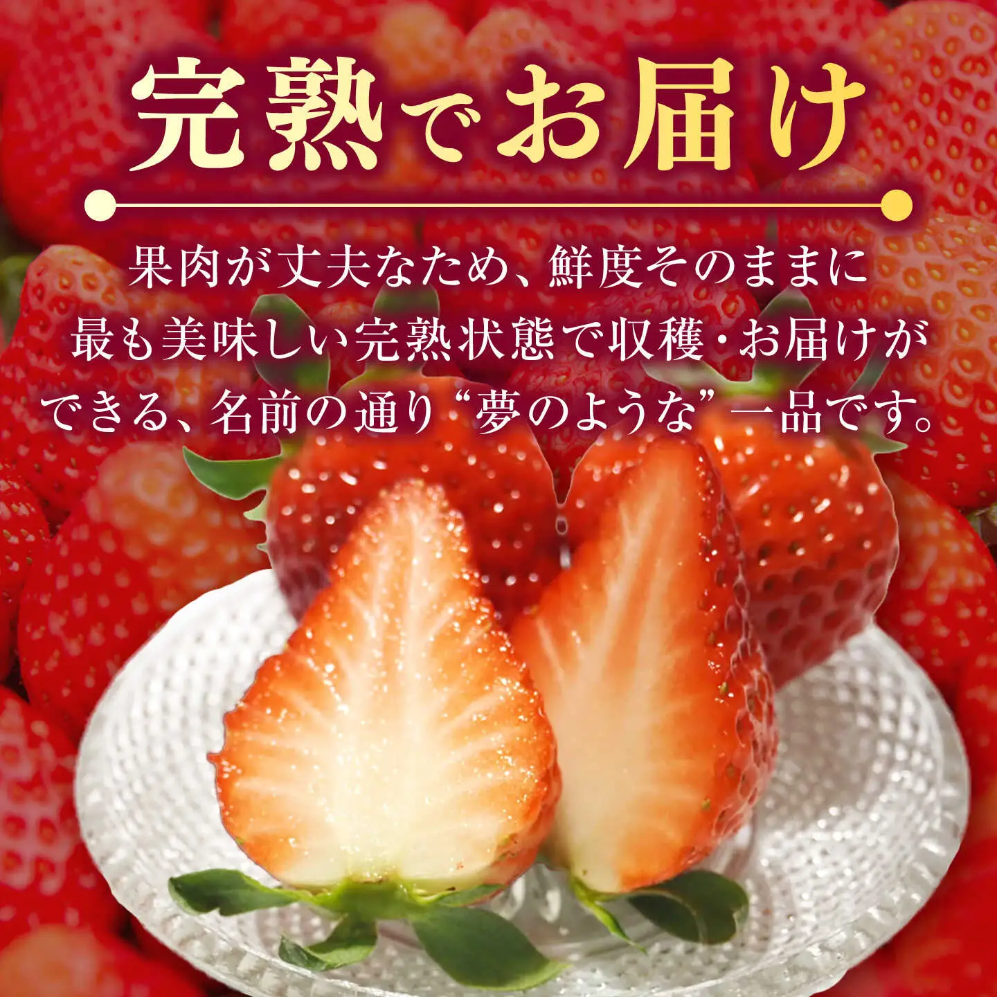 【先行予約】【全3回定期便】ゆめのか 1kg （約250g×4パック）【2027年1月以降順次発送】[JEM002] いちご 苺